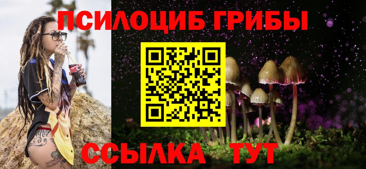 Галлюциногенные грибы Cubensis  даркнет сайт  Десногорск  Вход с VPN  Галлюциногенные грибы Psilocybe 
