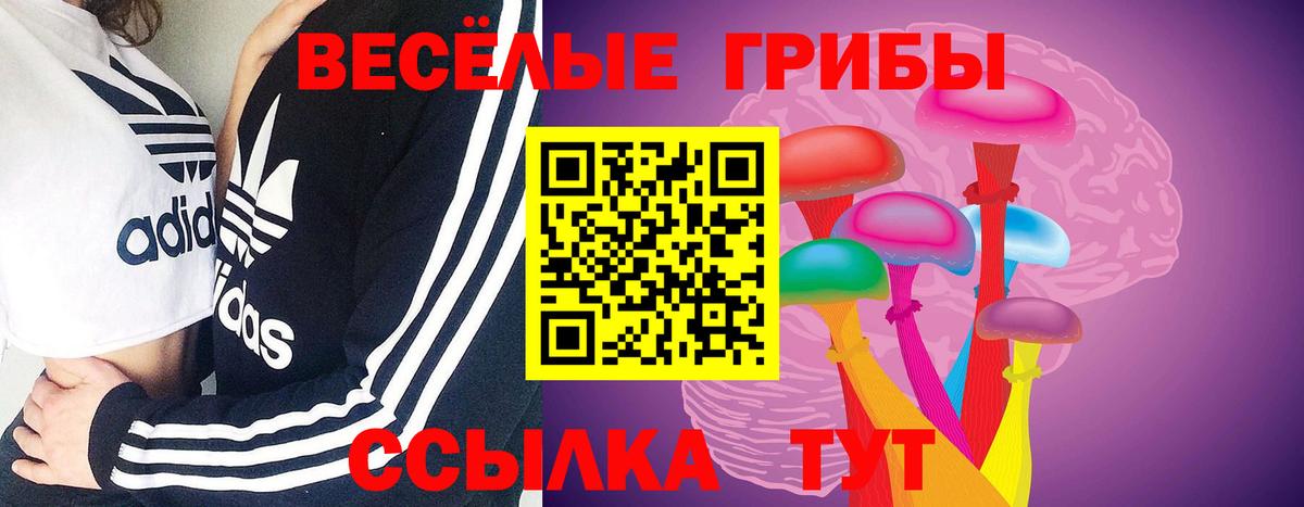 Псилоцибиновые грибы мицелий Десногорск